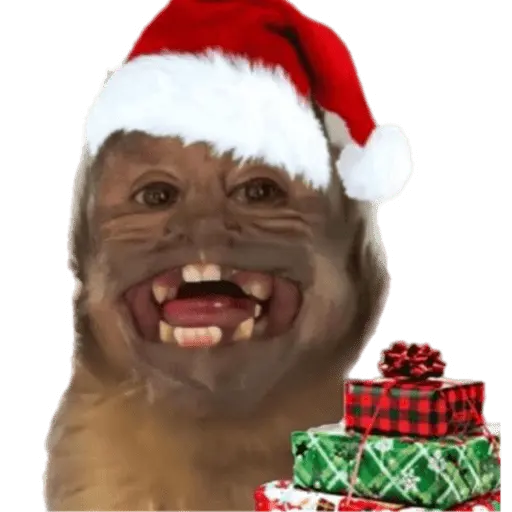 Monitos Navideños ❤️🐒🎄