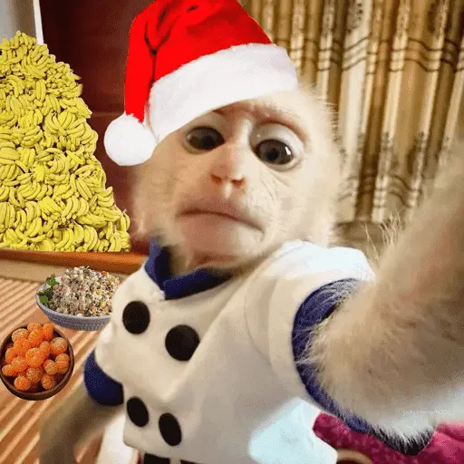 Monitos Navideños ❤️🐒🎄