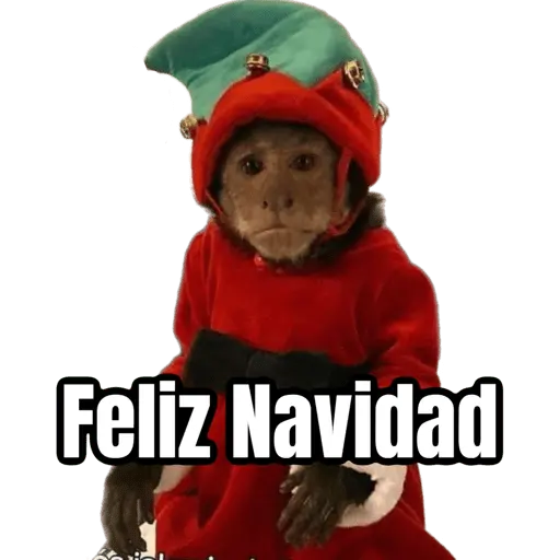 Monitos Navideños ❤️🐒🎄