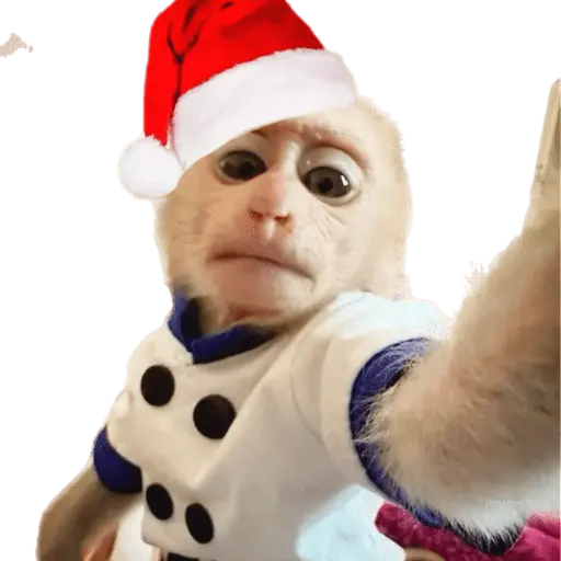 Monitos Navideños ❤️🐒🎄