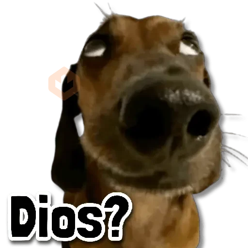 COMBO de Stickers #14 🎁 sticker 11