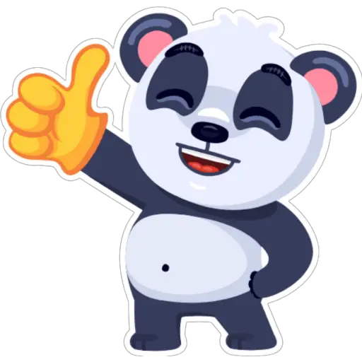 Mr. Panda 🐼✨✨✨  preview