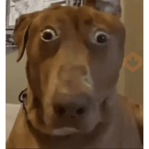 tiktok comments sticker 18