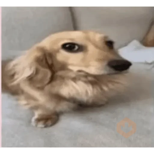tiktok comments sticker 16