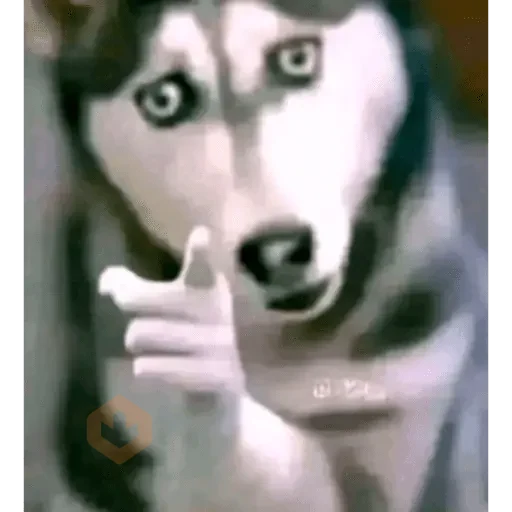 tiktok comments sticker 28