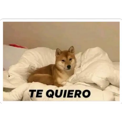 oi esamamada brother 