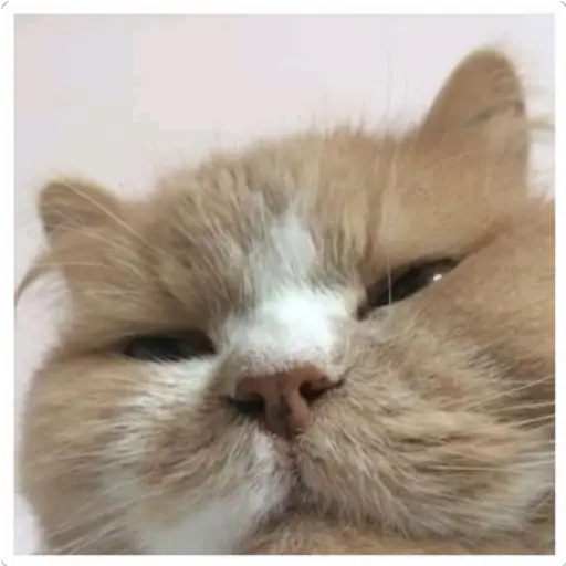 oi esamamada brother 