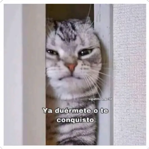 oi esamamada brother 