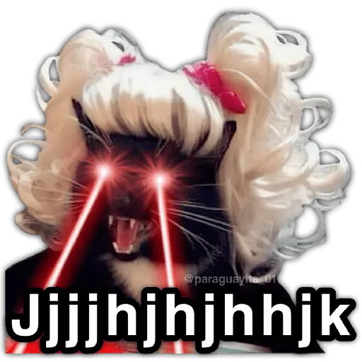 🫵😾🐈‍⬛ JAMÁS!!! 🐈‍⬛😾🫵