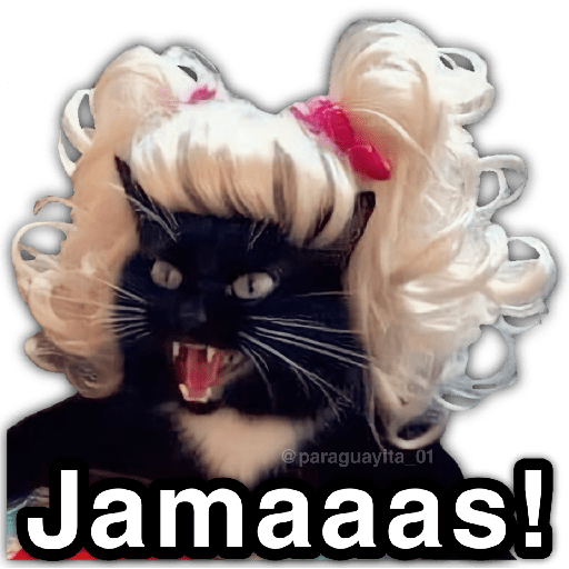 🫵😾🐈‍⬛ JAMÁS!!! 🐈‍⬛😾🫵 preview