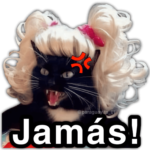 🫵😾🐈‍⬛ JAMÁS!!! 🐈‍⬛😾🫵 preview