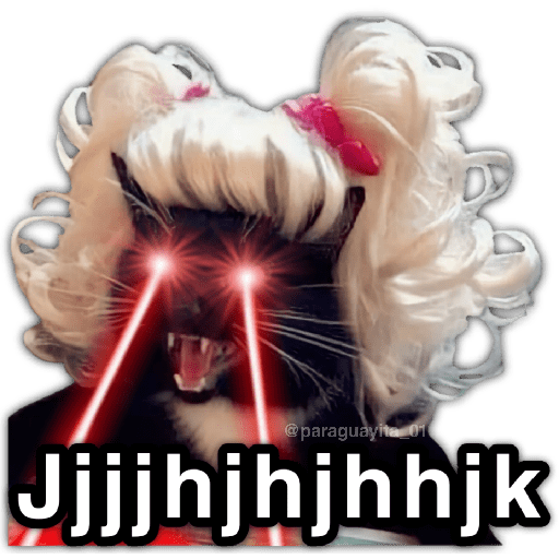 🫵😾🐈‍⬛ JAMÁS!!! 🐈‍⬛😾🫵 preview