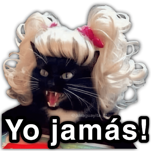 🫵😾🐈‍⬛ JAMÁS!!! 🐈‍⬛😾🫵 preview
