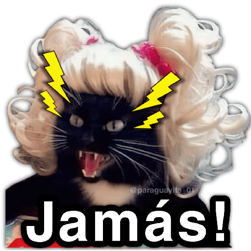 🫵😾🐈‍⬛ JAMÁS!!! 🐈‍⬛😾🫵 preview