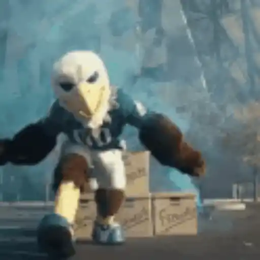 SuperBowl Washington Eagles 🦅🏈