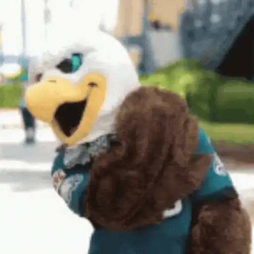 SuperBowl Washington Eagles 🦅🏈