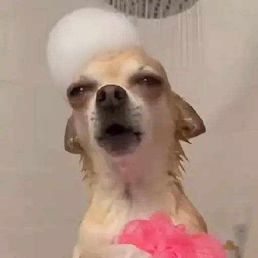 🎵 TIKTOKeando 44🎵