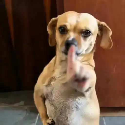 🎵 TIKTOKeando 44🎵