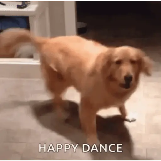 💃🕺Bailes pal Chat🪩🎶