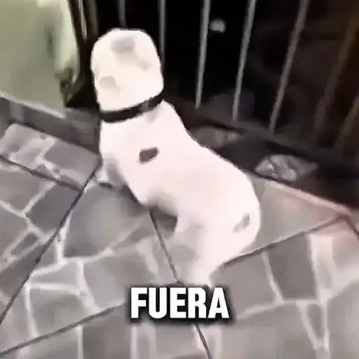 🙅🏻‍♀️ Fuera fuera depresión! 🗣