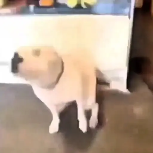 🙅🏻‍♀️ Fuera fuera depresión! 🗣