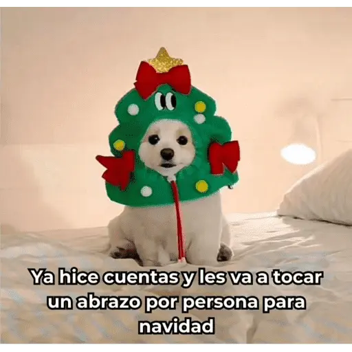 🎅🏻YA SE SIENTE LA NAVIDAD🎄