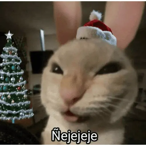 🎅🏻YA SE SIENTE LA NAVIDAD🎄
