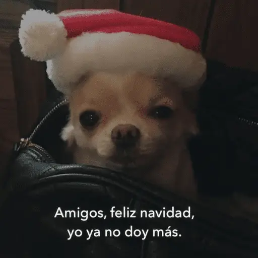 🎅🏻YA SE SIENTE LA NAVIDAD🎄