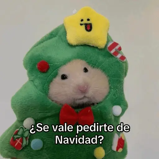 🎅🏻YA SE SIENTE LA NAVIDAD🎄