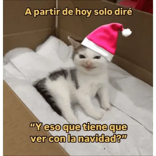 🎅🏻YA SE SIENTE LA NAVIDAD🎄