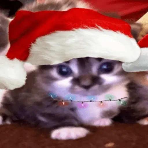 🎅🏻YA SE SIENTE LA NAVIDAD🎄
