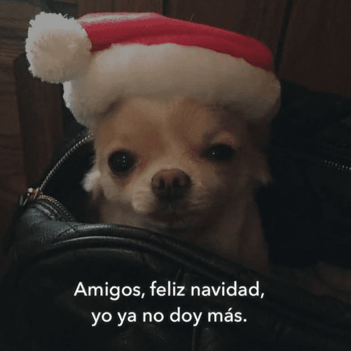 🎅🏻YA SE SIENTE LA NAVIDAD🎄 preview