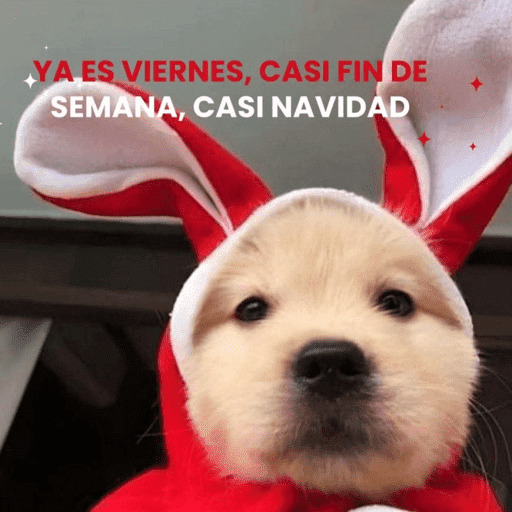 🎅🏻YA SE SIENTE LA NAVIDAD🎄 preview
