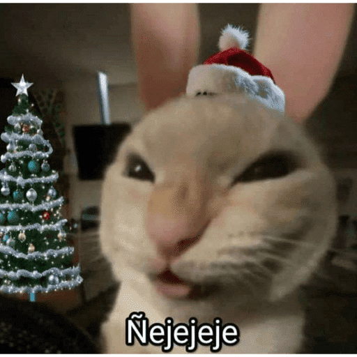 🎅🏻YA SE SIENTE LA NAVIDAD🎄 preview