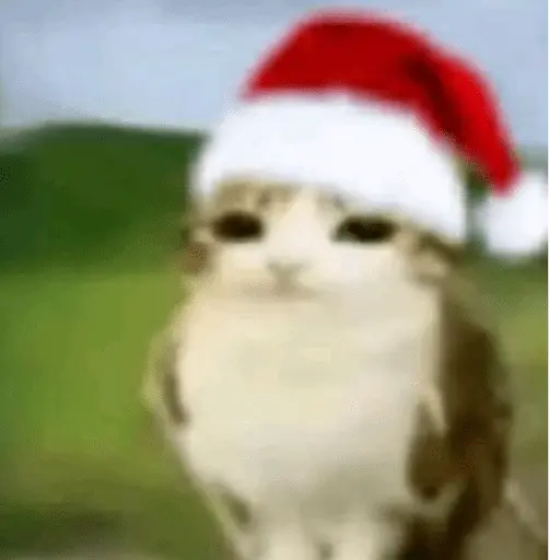 🎅🏻YA SE SIENTE LA NAVIDAD🎄