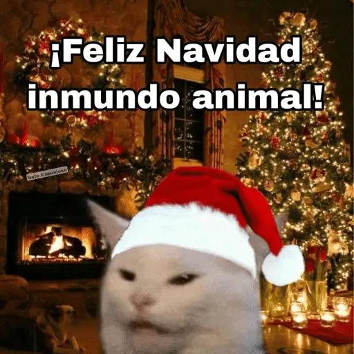 🎅🏻YA SE SIENTE LA NAVIDAD🎄