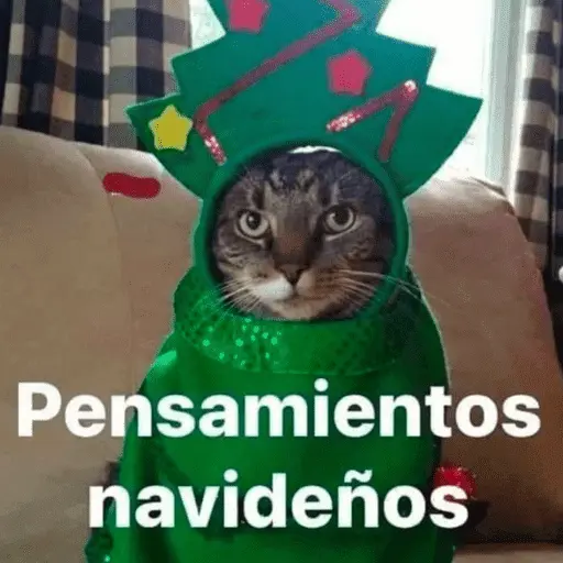 🎅🏻YA SE SIENTE LA NAVIDAD🎄