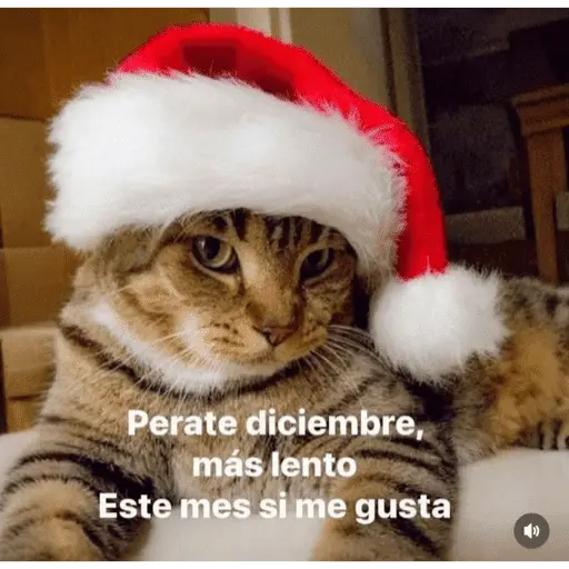 🎅🏻YA SE SIENTE LA NAVIDAD🎄
