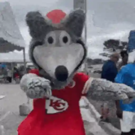 SuperBowl Kansas Chief 🏈🚩🏟️