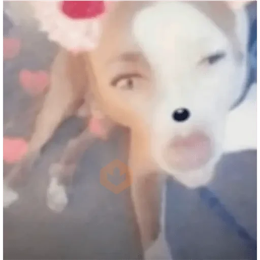 figurinhas do tiktok sticker 21