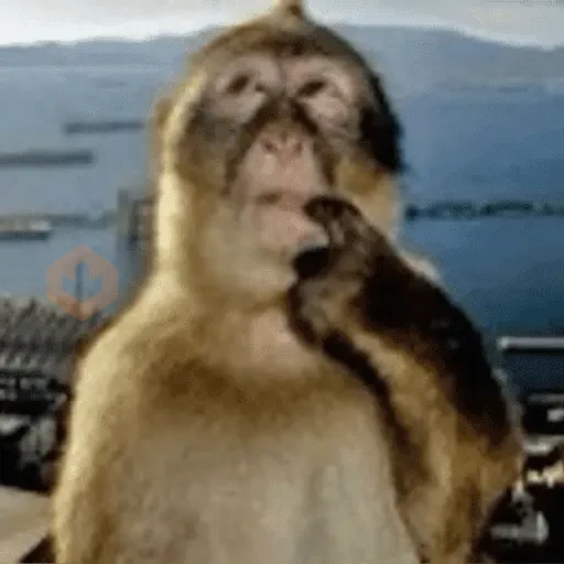 Tiktok meme ¡ . 👤 : : ? ¿ sticker 19