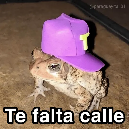 🛝🤸🏻 MEMES 19 🤸🏻‍♀️🛝Tendencias🔥