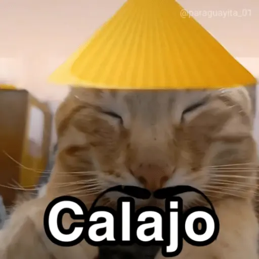 🛝🤸🏻 MEMES 19 🤸🏻‍♀️🛝Tendencias🔥