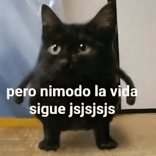 Animalitos RANDOM 🐶