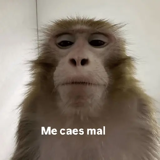 Animalitos RANDOM 🐶