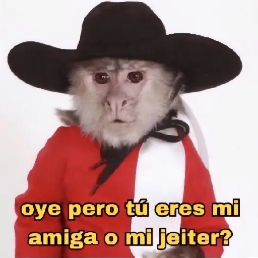 Animalitos RANDOM 🐶