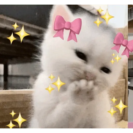 ❤️💕TOTALMENTE ENAMORAD@ 💕❤️