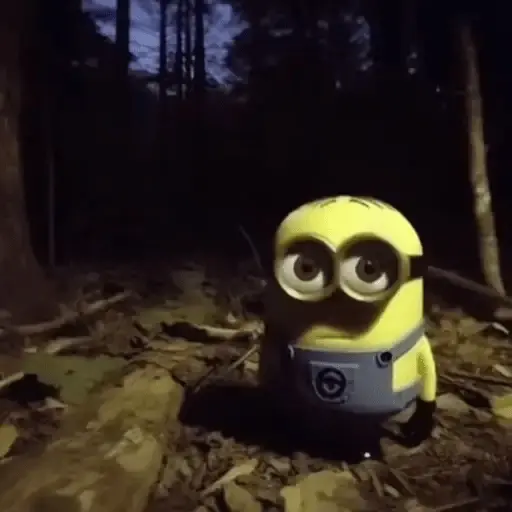 Minions Memes🟡💙