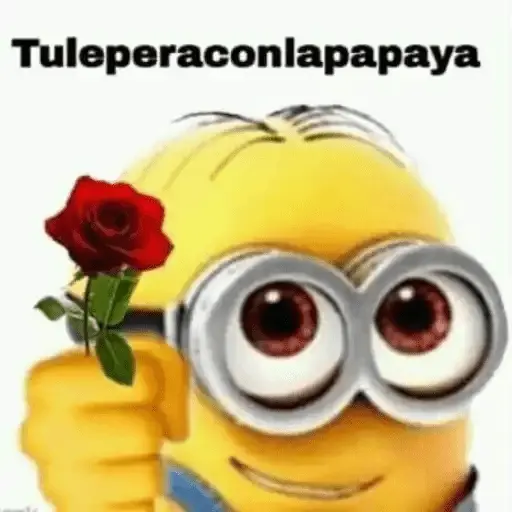 Minions Memes🟡💙
