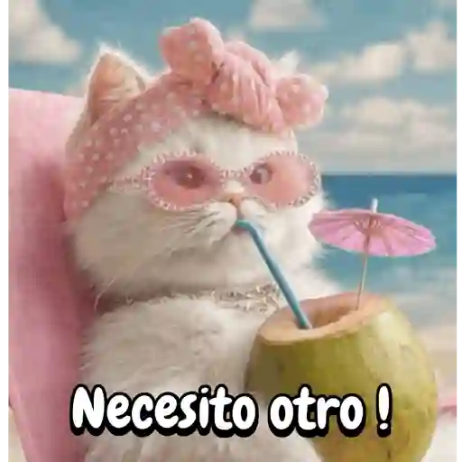 Reaccion gatuna San Valentín♥️